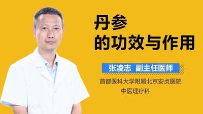 丹参的功效与作用禁忌 丹参对失眠有效果吗 丹参的功效与作用禁忌 丹参对失眠有效果吗