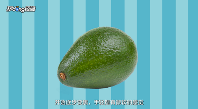 牛油果可以生吃吗 牛油果怎么看熟不熟 牛油果可以生吃吗 牛油果怎么看熟不熟