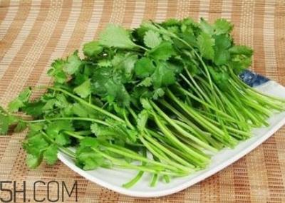 香菜根煮水喝的功效 香菜根煮水哪些人不能喝 香菜根煮水喝的功效 香菜根煮水哪些人不能喝