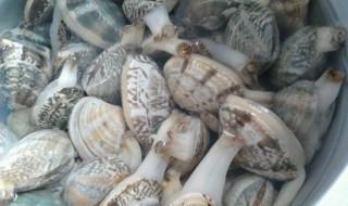 花甲能冷冻吗 花甲冷冻了还能开口吗