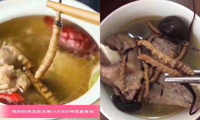 冬虫夏草能和蜂蜜一起泡水喝吗 吃冬虫夏草不能吃什么食物 冬虫夏草能和蜂蜜一起泡水喝吗 吃冬虫夏草不能吃什么食物