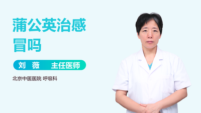 蒲公英可以治感冒吗 风热感冒能喝蒲公英吗 蒲公英可以治感冒吗 风热感冒能喝蒲公英吗