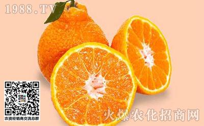 丑橘的功效作用与禁忌 丑橘到底上不上火 丑橘的功效作用与禁忌 丑橘到底上不上火