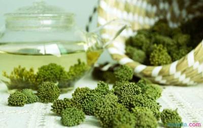 三七花什么时候喝比较好 三七花能不能长期喝 三七花什么时候喝比较好 三七花能不能长期喝