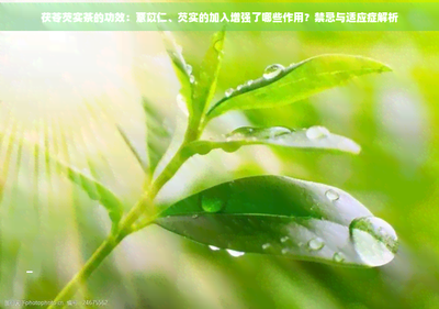 芡实配茯苓有什么功效 芡实和什么搭配补肾又调理脾胃 芡实配茯苓有什么功效 芡实和什么搭配补肾又调理脾胃