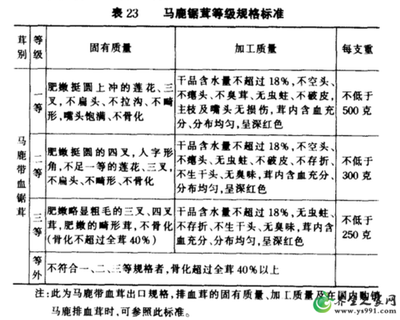鹿茸二杠是什么意思 鹿茸二杠和三叉的区别 鹿茸二杠是什么意思 鹿茸二杠和三叉的区别