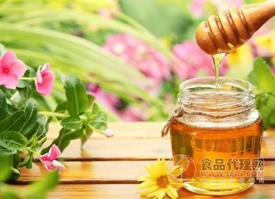 槐花蜂蜜的功效与作用 槐花蜂蜜的食用方式和注意事项 槐花蜂蜜的功效与作用 槐花蜂蜜的食用方式和注意事项