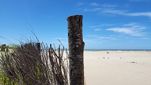 支付宝码商狂欢节怎么给余利宝收益翻倍?