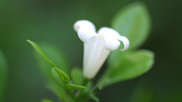 电脑鼠标右键菜单找不到选项卡的解决绝办法